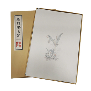 萝轩变古笺谱 宣纸彩印信笺小楷书法绘画信纸80页装33*23cm