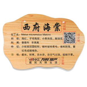仿木纹花草树牌卡通植物认养标识树木名简介绍挂牌园林绿化牌定制