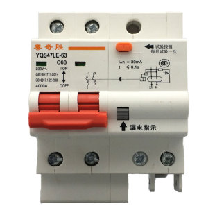 粤奇胜YQS47漏电保护器开关空调热水器220V单相家用总开关2P63A