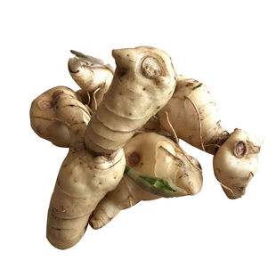 黄精种苗新鲜老虎姜鸡头黄精苗滋补中药材煲汤泡酒中药材黄金苗