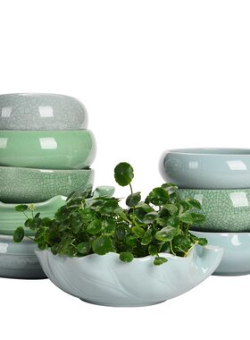 水培碗莲铜钱草大号水仙花花盆