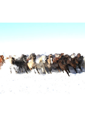 蒙古特色装饰画草原壁画挂画