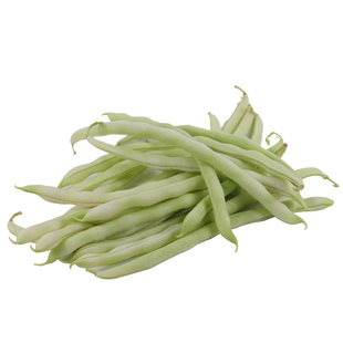 密农人家 新鲜白不老豆角 农家种植豆角 鲜嫩可口 新鲜蔬菜 400g