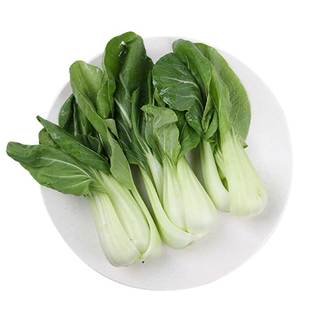 【小汤山】油菜 约250g 新鲜蔬菜当天采摘北京农场顺丰到家