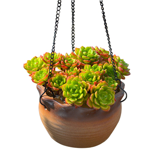 多肉花盆粗陶特价清仓包邮大号菖蒲绿植造景仿石头盆栽瑕疵残次品