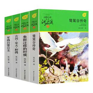 动物小说大王沈石溪军旅系列4册 古剑军犬野鸽/鹭鸶谷传奇/象群迁移的时候军鸽白雪公主 小学生三四五六年级课外阅读书籍必读1