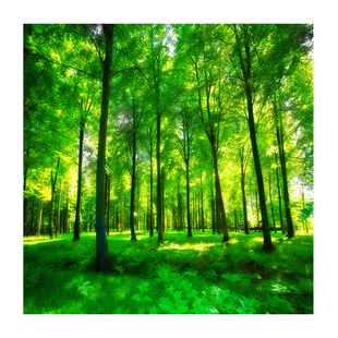 定制个性北欧3D立体风景树林绿树绿色森林卧室客厅窗台短帘窗帘