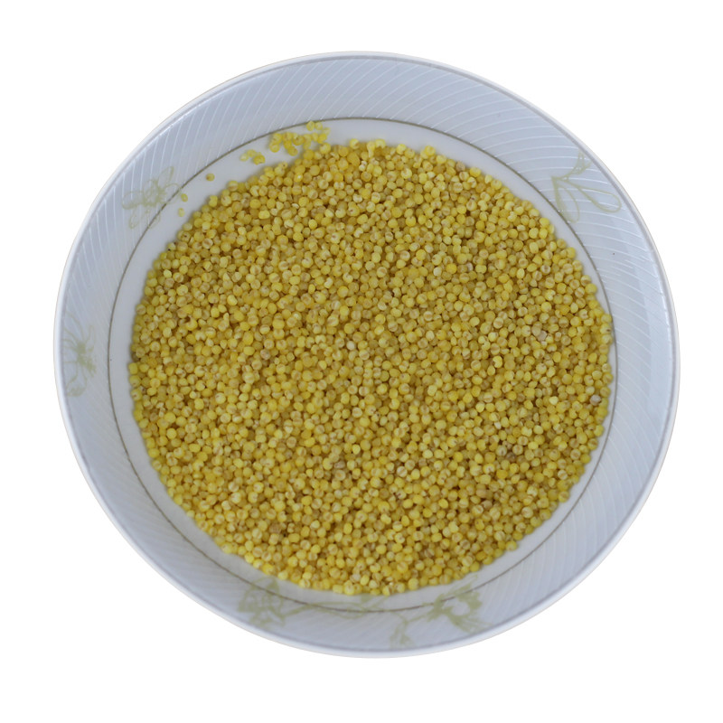 买4送1黄小米新米月子杂粮粥500g
