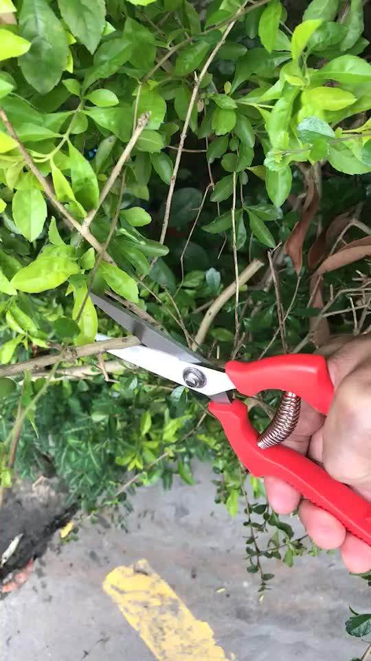 8inch Good Quality Sell Well Plant Trimming Scissor Pruner /garden