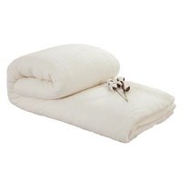 垫被床垫宿舍单人加厚保暖棉花被子质量好不好
