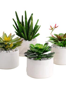 多肉植物小盆栽仙人掌绿植装饰品