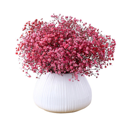 满天星带花瓶永生花真客厅房间