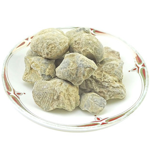 石燕 天然纯新货 中药材 大石燕 石燕子 燕子石 水飞石燕 500克