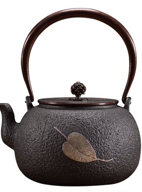 铁壶铸铁泡茶壶龟寿堂一叶知秋生