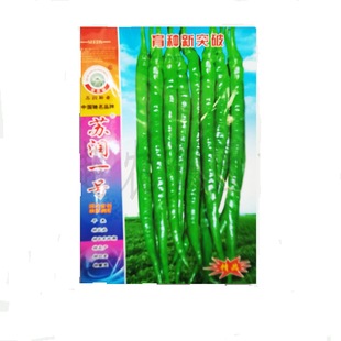 辣椒蔬菜种子苏润一号线椒种中早熟特长抗病高产农用适合各地包邮