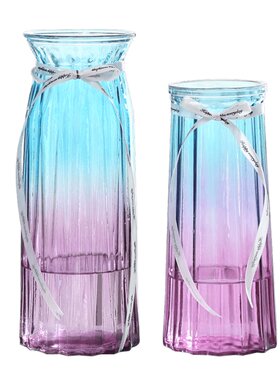 【二件套】大号玻璃花瓶透明欧式水养百合干花富贵竹花瓶插花摆件