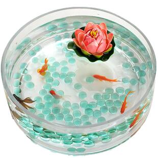 水培玻璃花瓶透明花盆客厅桌面金鱼缸绿萝器皿植物玻璃盆