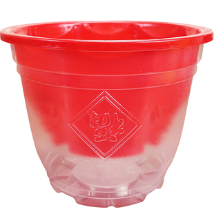 绿萝花盆自动吸水厂家直销透明家用懒人塑料专用储水水培绿箩盆