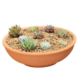 美式乡村简约多肉组合大号花盆透气粗陶泥瓦盆花园庭院绿植红陶盆