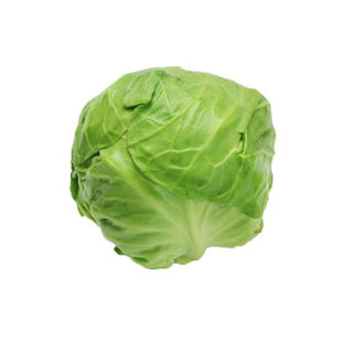 大甘蓝菜种孑种子种籽苗大头菜包菜秧苗菜种适合冬天种的菜苗蔬菜