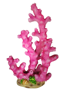 玻璃钢仿真扇贝海星海草户外景观