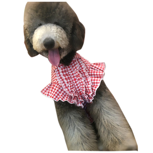 手工定制-哈尼原创设计 巨贵金毛狗狗 衣服 中大型犬 网红 公主衫