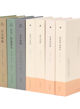 室内售楼处书本摆件样板房软装