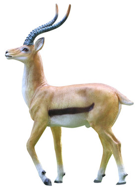 大型仿真藏羚羊动物别墅园林景观