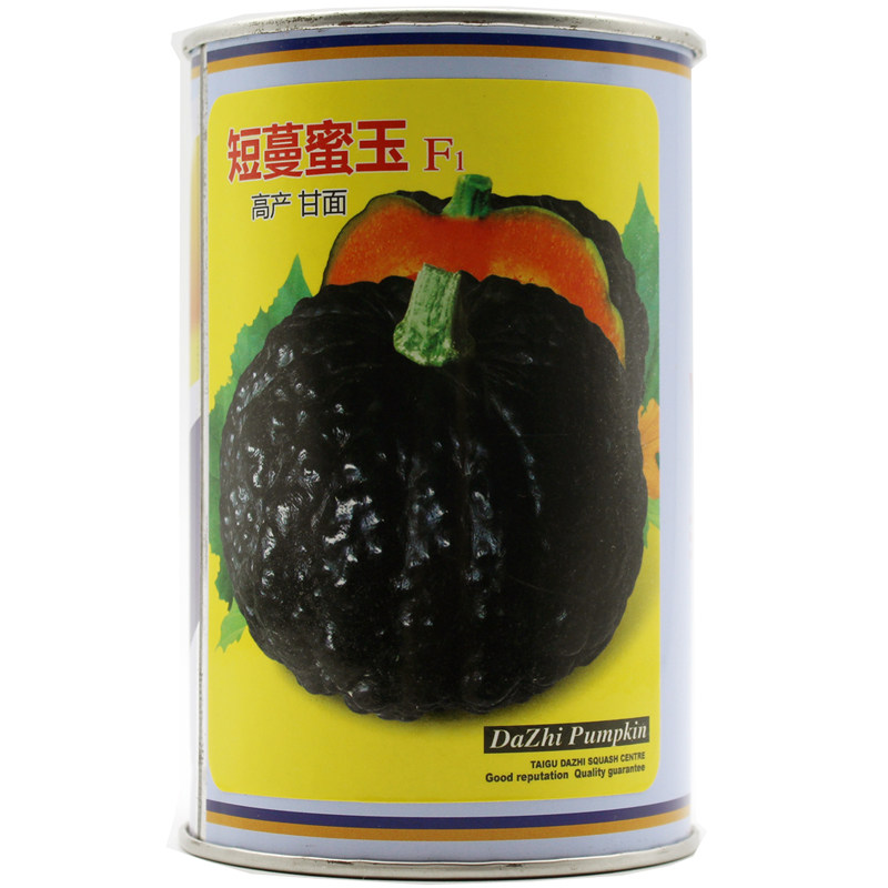 日本疙瘩高产基地耐热南瓜种子