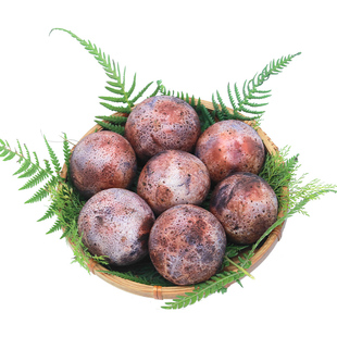 云禾好物|新鲜竹荪蛋鲜竹笙蛋一级贵州织金竹生菌菇红托食用菌类