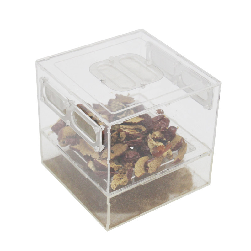 九龙虫分离爬虫洋虫繁殖养殖箱