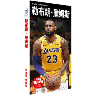 勒布朗詹姆斯明信片湖人骑士 NBA球星篮球明星周边球迷纪念品贴纸