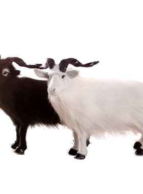 仿真山羊摆件动物模型场景小羊羔