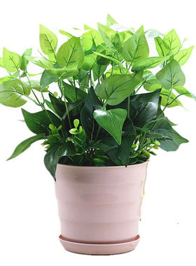 自带泡沫花泥塑料仿真植物