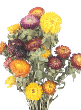 干花真花装饰摆件买一送一