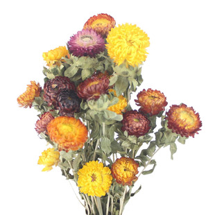 干花花束装饰摆件向日葵真花客厅摆设风干天然家居装饰插瓶小雏菊