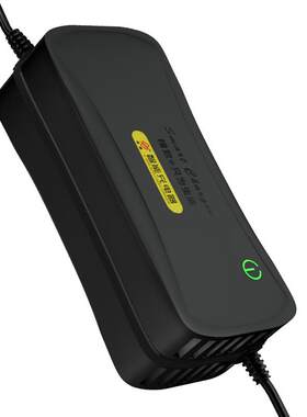 36电瓶充电器电瓶超威天能