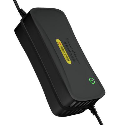 36电瓶充电器电瓶超威天能