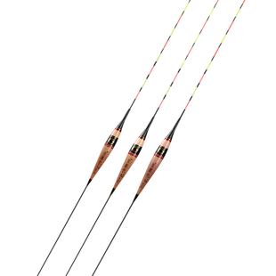 金鼎月2020芦苇电子漂高灵敏超亮 无影夜钓夜光漂醒目鲫鱼鱼漂