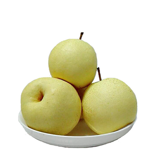 2025新果尝鲜 延安宜川壶口酥梨特级包邮水梨苹果陕西农家特产