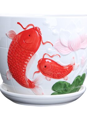 花盆创意带托盘蝴蝶兰