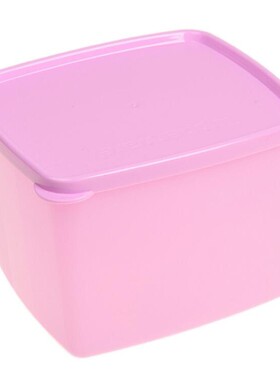特百惠塑料蔬菜密封冷藏保鲜方盒