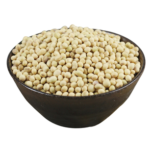 建宁公主黄豆浆专用农家自种土黄豆 可发豆芽杂粮豆500g