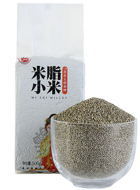 【顺手必入】黑小米【不一般】