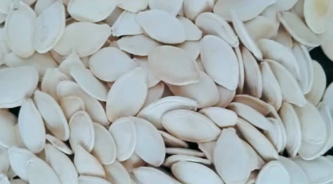 25kg Packaging Raw Cultivation Type Good Quality Round Pumpkin Seeds