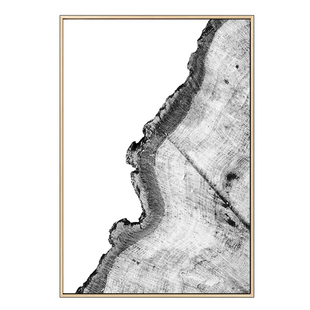 装修壁画沙发背景墙挂画现代简约灰色年轮两幅连画客厅装饰画抽象