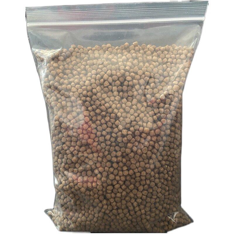 巴西粮食大中小石金钱龟