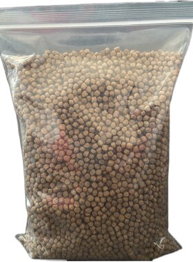 巴西粮食大中小石金钱龟