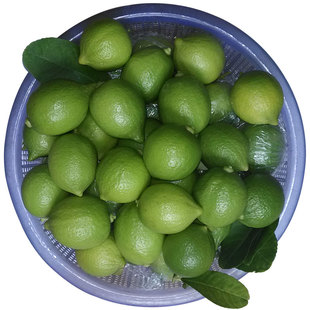 新鲜无籽一级绿青柠檬皮薄多汁3斤小青柠特价包邮海南小柠檬水果