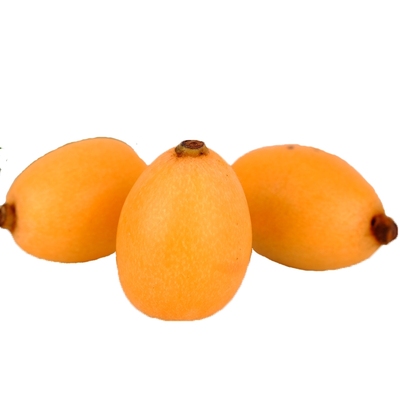 现摘米易枇杷五星四川攀枝花